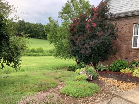 933 Lloyd Rd, Georgetown, KY 40324 photo 64