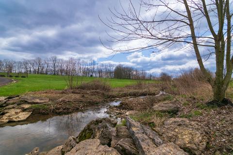 933 Lloyd Rd, Georgetown, KY 40324 photo 61