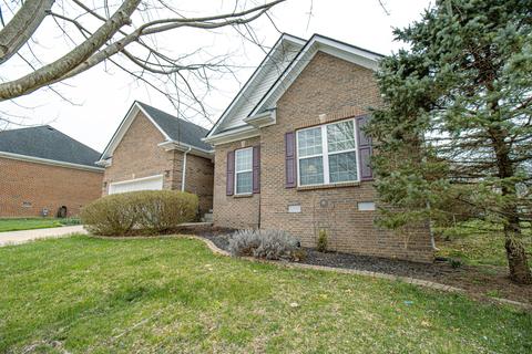 113 Cedar Stream Dr, Paris, KY 40361 photo 37