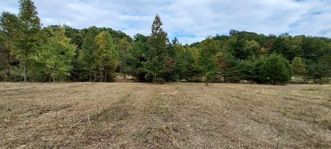 567 C Valley Dr, Berea, KY 40403 photo 20