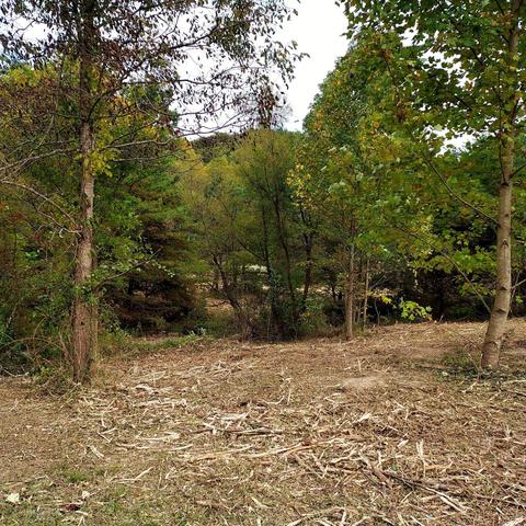 567 C Valley Dr, Berea, KY 40403 photo 16
