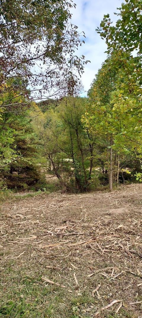 567 C Valley Dr, Berea, KY 40403 photo 7