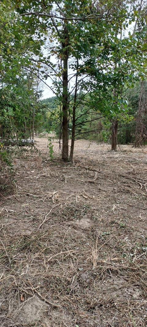 567 C Valley Dr, Berea, KY 40403 photo 18