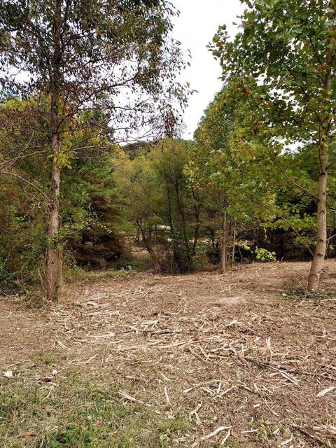 567 C Valley Dr, Berea, KY 40403 photo 22