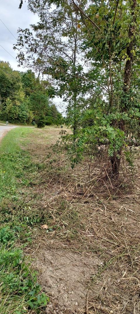 567 C Valley Dr, Berea, KY 40403 photo 9