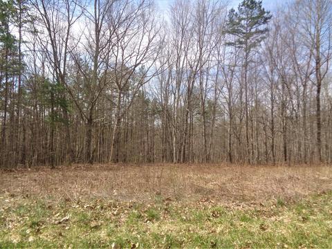 9 Hollywood Dr, Corbin, KY 40701 photo 9