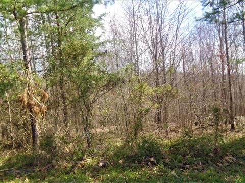 9 Hollywood Dr, Corbin, KY 40701 photo 14
