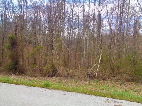 20 Hollywood Dr, Corbin, KY 40701 photo 10