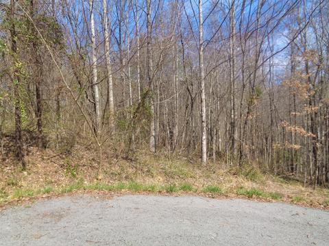 20 Hollywood Dr, Corbin, KY 40701 photo 13