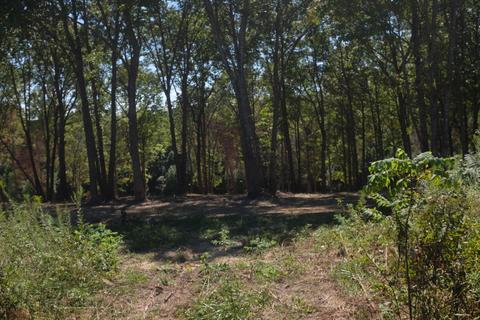 27 Hollywood Dr, Corbin, KY 40701 photo 3