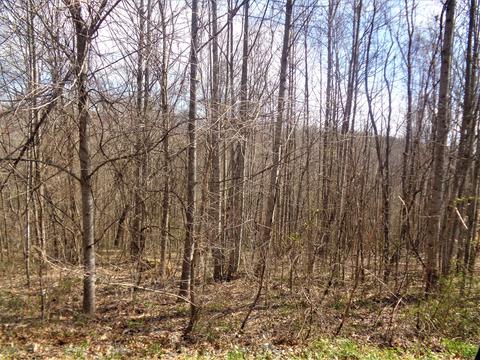 77 Hollywood Dr, Corbin, KY 40701 photo 15