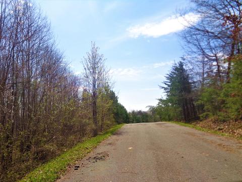 77 Hollywood Dr, Corbin, KY 40701 photo 12