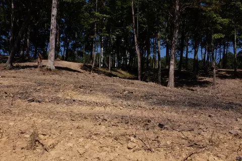 39 Malibu Dr, Corbin, KY 40701 photo 6