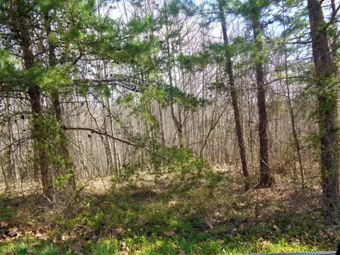57 Malibu Dr, Corbin, KY 40701 photo 6
