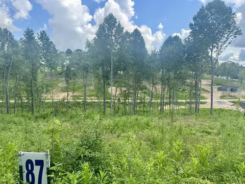 87 Rodeo Dr, Corbin, KY 40701 photo 3