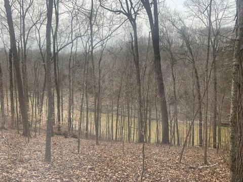 1820 Slate Branch Spur, Somerset, KY 42503