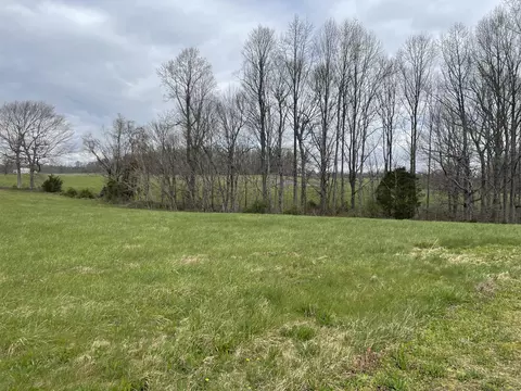 52 Hogans Pt, Russell Springs, KY 42642