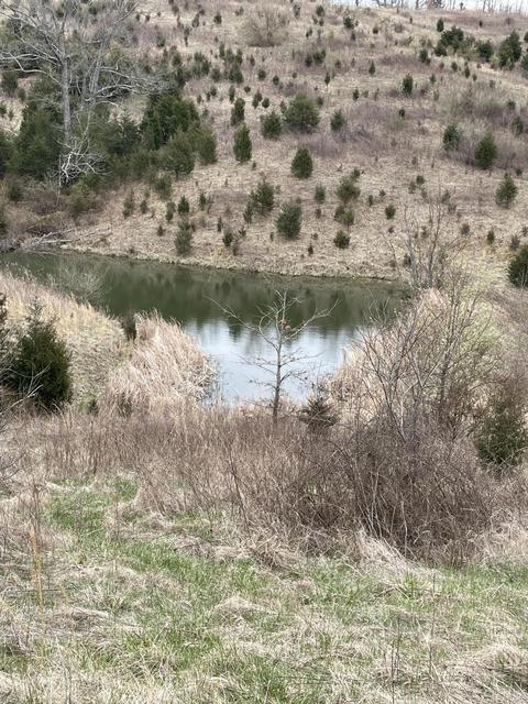 245 Blanchet Rd, Corinth, KY 41010 photo 1