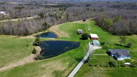 196 Stepp Rd, Strunk, KY 42649 photo 14