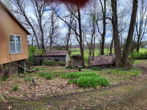 41 Crutcher Ln, Windsor, KY 42565 photo 11