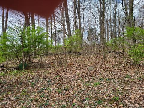 41 Crutcher Ln, Windsor, KY 42565 photo 13