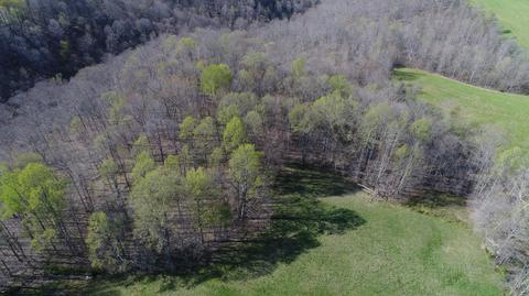 3578 Hickory Nut Rd, Nancy, KY 42544 photo 17