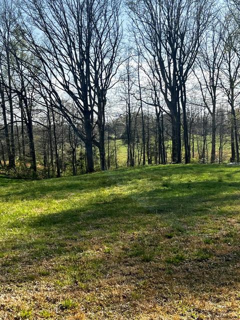 182 Bybee Loop, Waco, KY 40385 photo 7