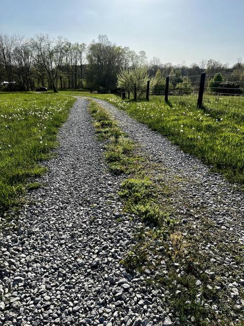 182 Bybee Loop, Waco, KY 40385 photo 12