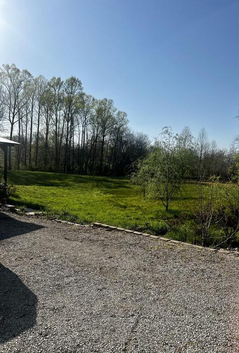 182 Bybee Loop, Waco, KY 40385 photo 9