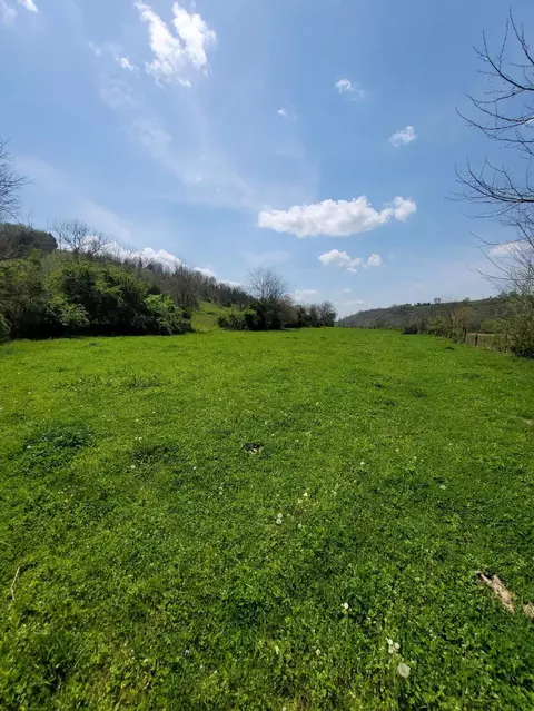 20 Herbert Grubbs Rd, Lancaster, KY 40444 photo 12