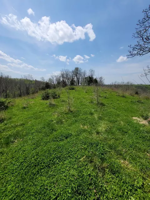 20 Herbert Grubbs Rd, Lancaster, KY 40444 photo 13