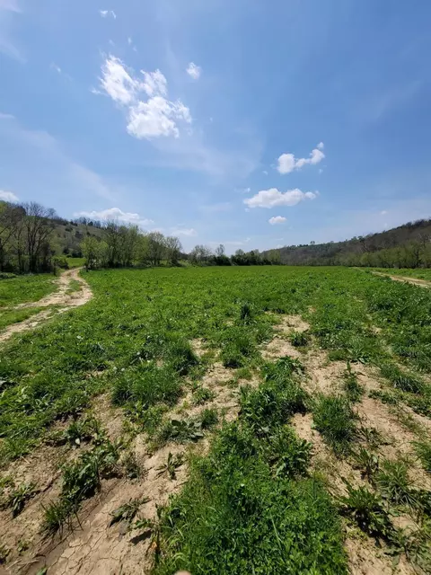 20 Herbert Grubbs Rd, Lancaster, KY 40444 photo 8