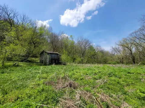 20 Herbert Grubbs Rd, Lancaster, KY 40444 photo 1