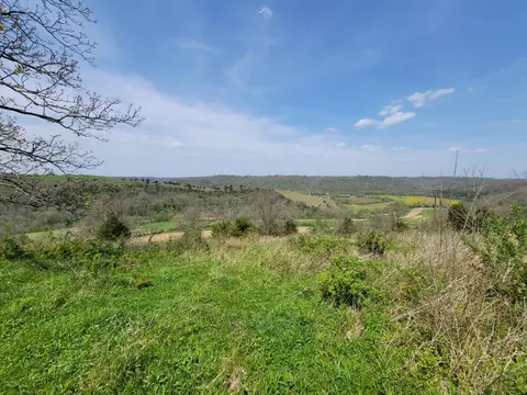 20 Herbert Grubbs Rd, Lancaster, KY 40444 photo 14