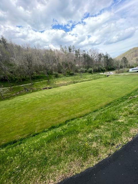 55 Doug Dr, Tomahawk, KY 41262 photo 25