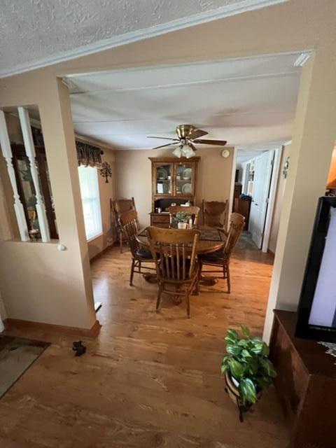 55 Doug Dr, Tomahawk, KY 41262 photo 10