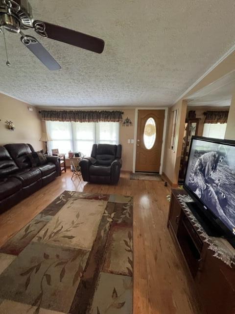 55 Doug Dr, Tomahawk, KY 41262 photo 11