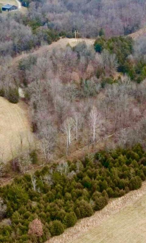 280 Double Culvert Rd, Georgetown, KY 40324 photo 7