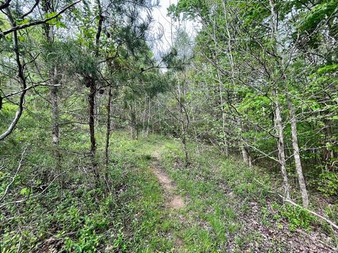 206 Aker Holt Rd, Corbin, KY 40701 photo 37
