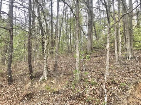 1394 Hilton Br, Grayson, KY 41143 photo 5