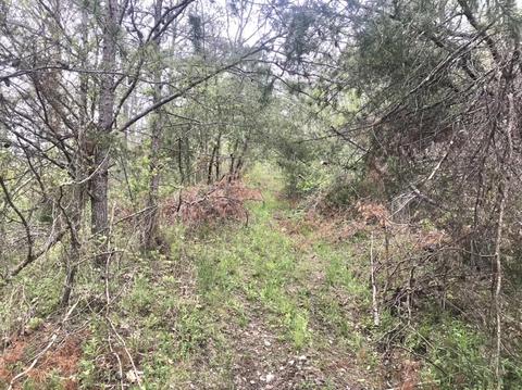 1394 Hilton Br, Grayson, KY 41143 photo 6