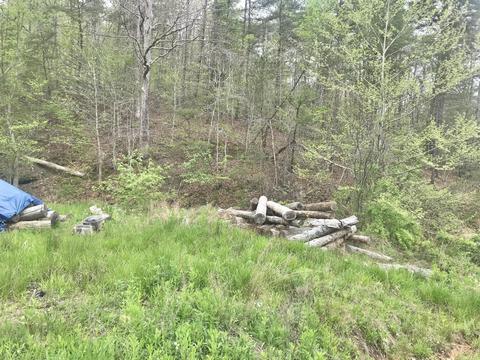 1394 Hilton Br, Grayson, KY 41143 photo 9