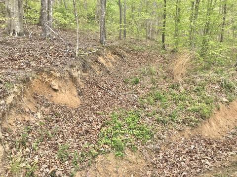1394 Hilton Br, Grayson, KY 41143 photo 4
