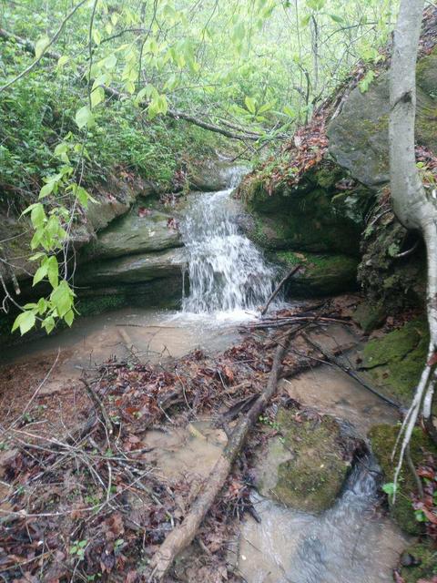 1394 Hilton Br, Grayson, KY 41143 photo 11