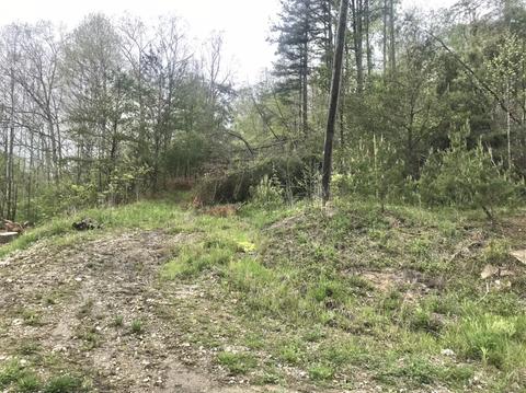 1394 Hilton Br, Grayson, KY 41143 photo 8
