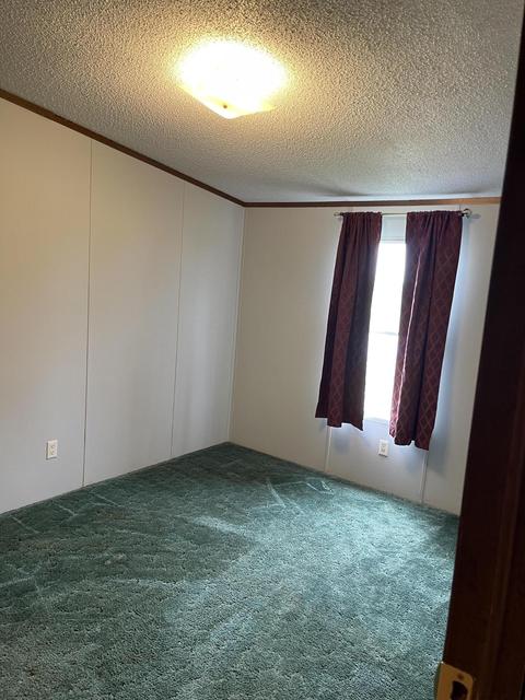 232 Kidwell Rd, Ewing, KY 41039 photo 15