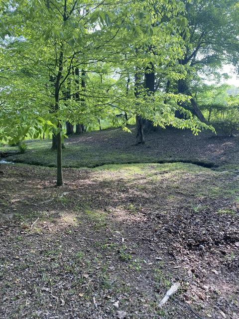 153 Sampson St, Corbin, KY 40701 photo 56