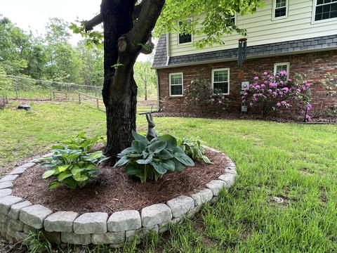 153 Sampson St, Corbin, KY 40701 photo 60
