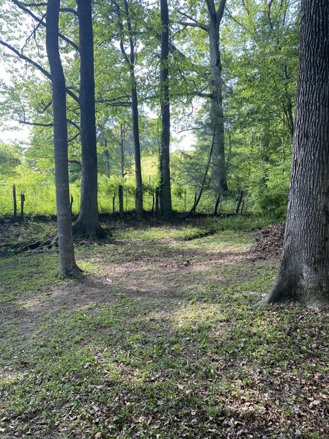 153 Sampson St, Corbin, KY 40701 photo 55