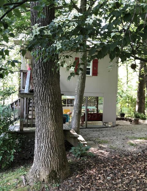 153 Sampson St, Corbin, KY 40701 photo 43